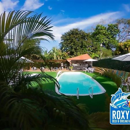 Roxy'S Bed & Breakfast Boca Chica Extérieur photo