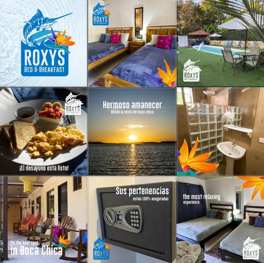 Roxy'S Bed & Breakfast Boca Chica Extérieur photo