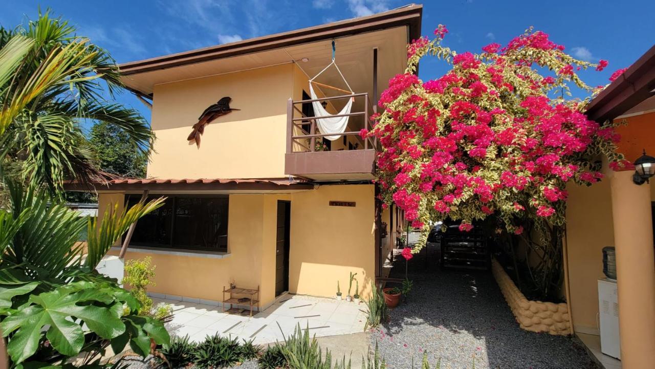 Roxy'S Bed & Breakfast Boca Chica Extérieur photo