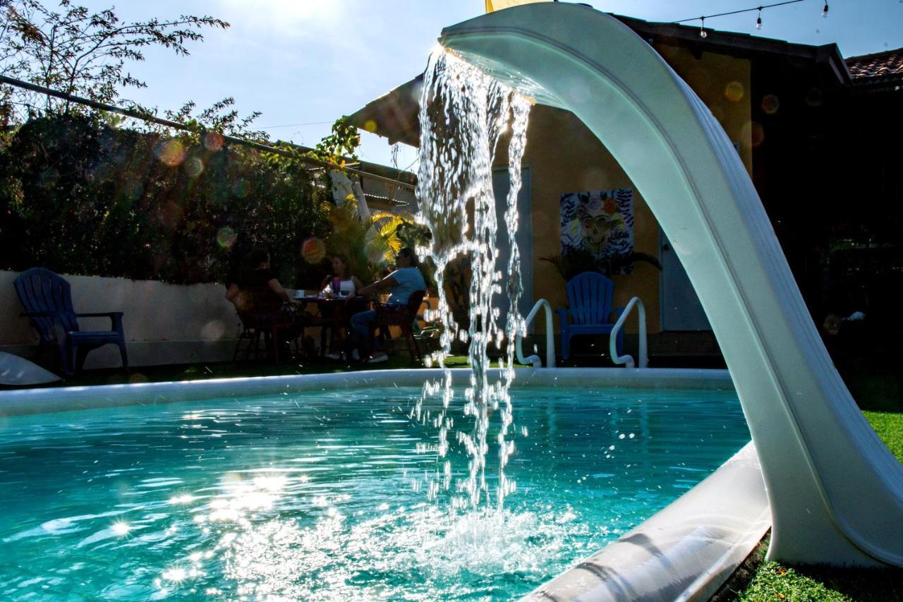 Roxy'S Bed & Breakfast Boca Chica Extérieur photo
